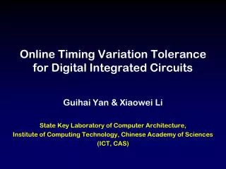 Online Timing Variation Tolerance for Digital Integrated Circuits