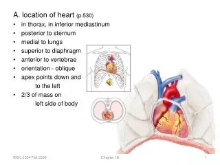 A. location of heart (p.530) in thorax, in inferior mediastinum posterior to sternum