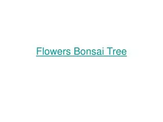 Flowers Bonsai Tree