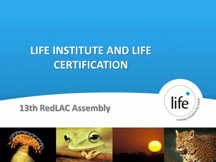 life institute and life certification