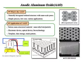 Anodic Aluminum Oxide(AAO)