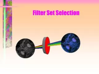 Filter Set Selection