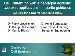 Cell Patterning with a heptagon acoustic tweezer : applications in neurite guidance