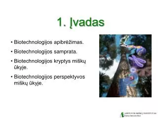 1 vadas
