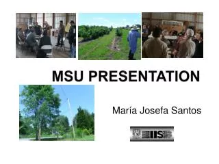 MSU PRESENTATION