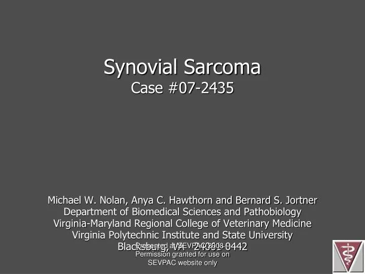 synovial sarcoma case 07 2435