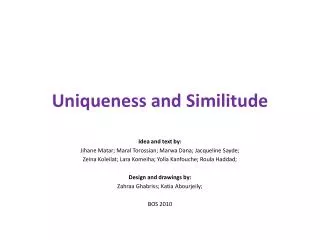 Uniqueness and Similitude