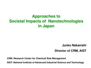 Approaches to Societal Impacts of Nanotechnologies in Japan