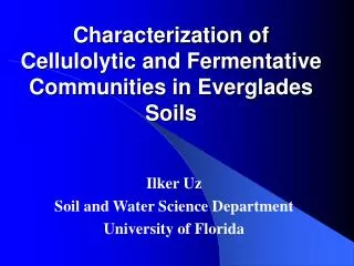 Characterization of Cellulolytic and Fermentative Communities in Everglades Soils