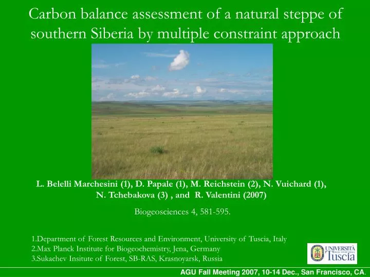 carbon balance assessment of a natural steppe of southern siberia by multiple constraint approach