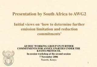 AD HOC WORKING GROUP ON FURTHER COMMITMENTS FOR ANNEX I PARTIES UNDER THE KYOTO PROTOCOL