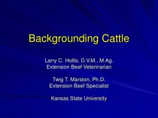 Backgrounding Cattle