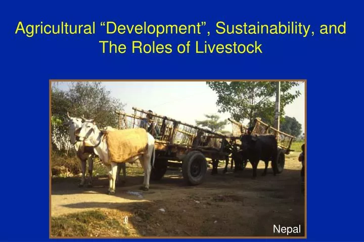 agricultural development sustainability and the roles of livestock