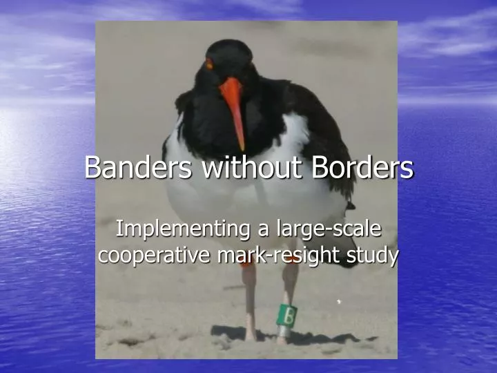 banders without borders