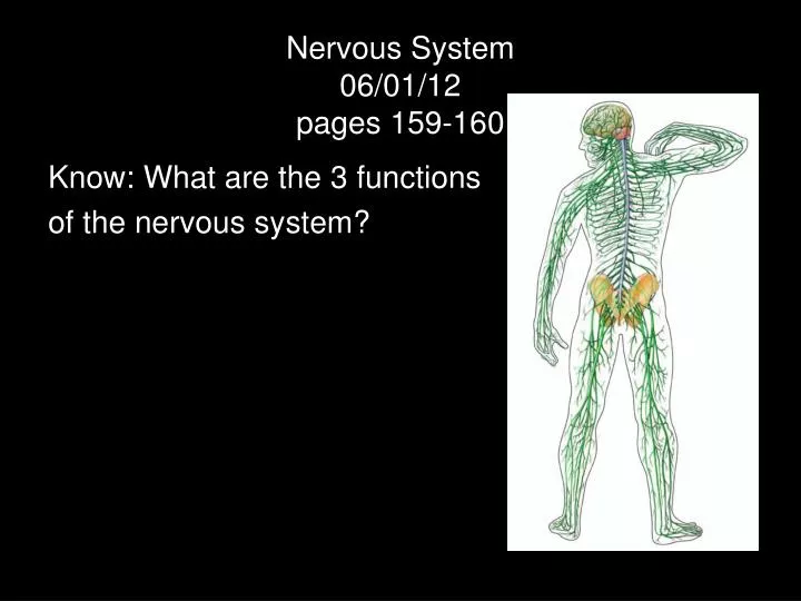 nervous system 06 01 12 pages 159 160