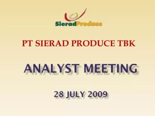 analyst meeting 28 july 2009