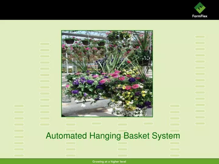 automated hanging basket system