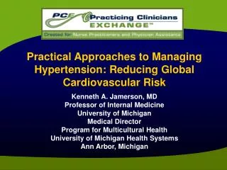 Practical Approaches to Managing Hypertension: Reducing Global Cardiovascular Risk