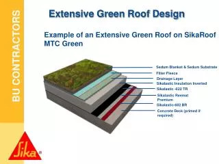 Extensive Green Roof Design