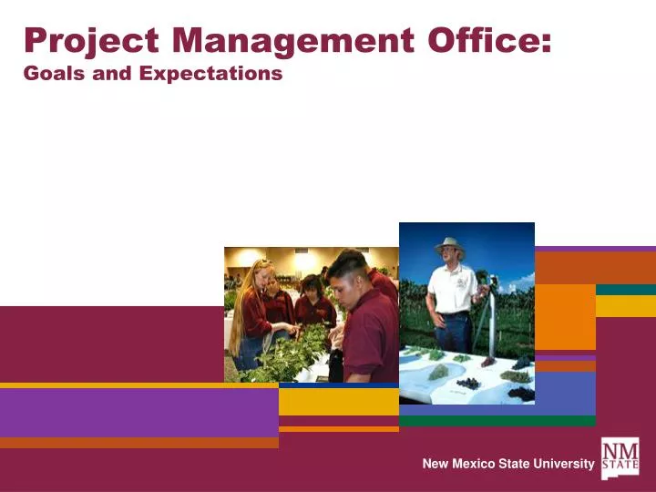 project management office goals and expectations