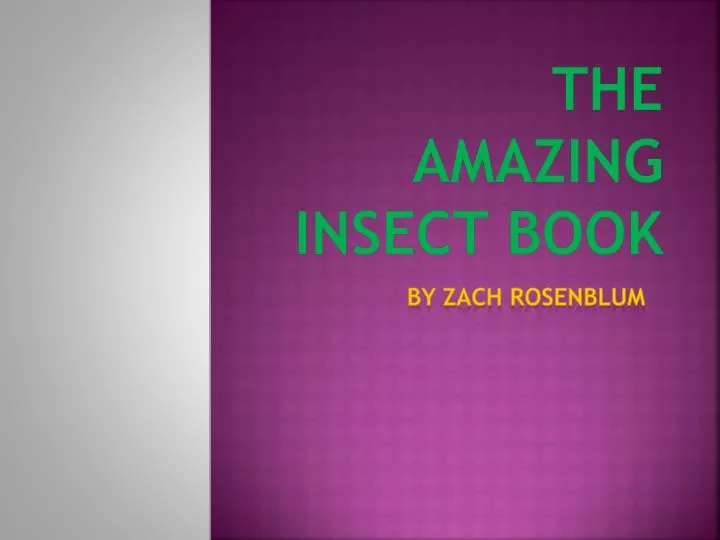 the amazing insect book