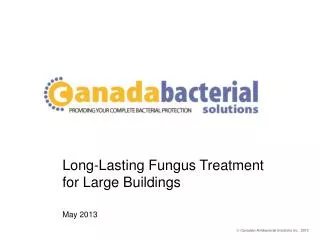 Long-Lasting Fungus Treatment for Large Buildings May 2013
