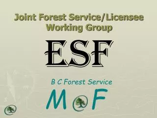 Joint Forest Service/Licensee Working Group