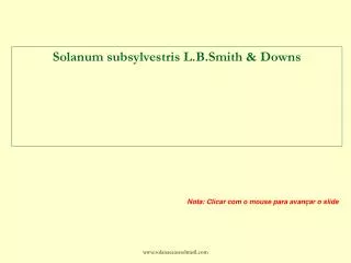 Solanum subsylvestris L.B.Smith &amp; Downs