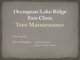 Occoquan/Lake Ridge Tree Clinic Tree Maintenance