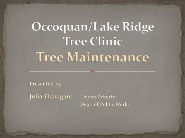 occoquan lake ridge tree clinic tree maintenance