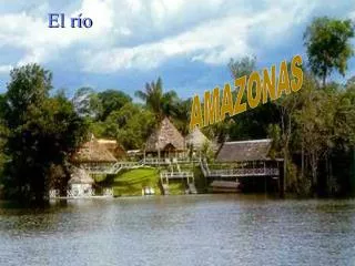 amazonas