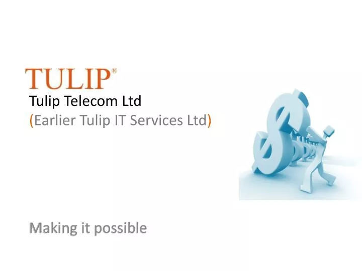 tulip telecom ltd earlier tulip it services ltd