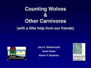 Counting Wolves &amp; Other Carnivores (with a little help from our friends)