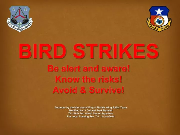 bird strikes be alert and aware know the risks avoid survive