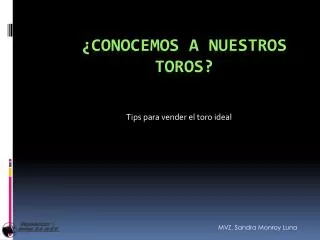 tips para vender el toro ideal