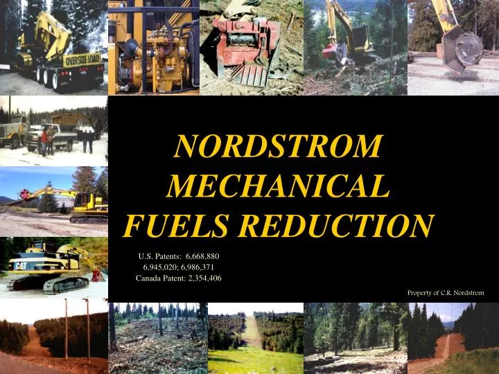 nordstrom mechanical fuels reduction