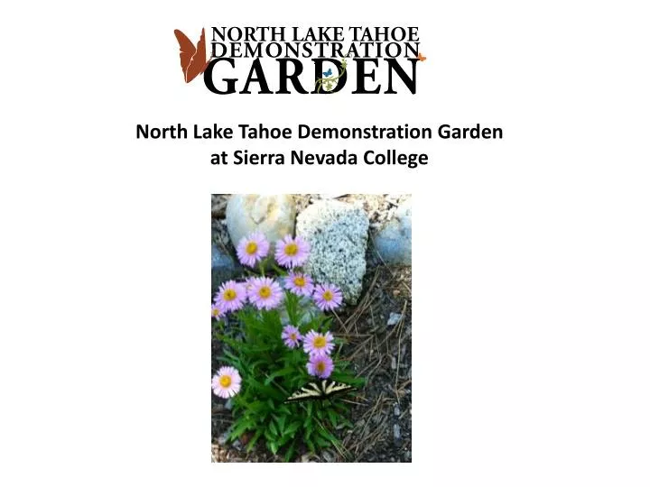 north lake tahoe demonstration garden at sierra nevada college