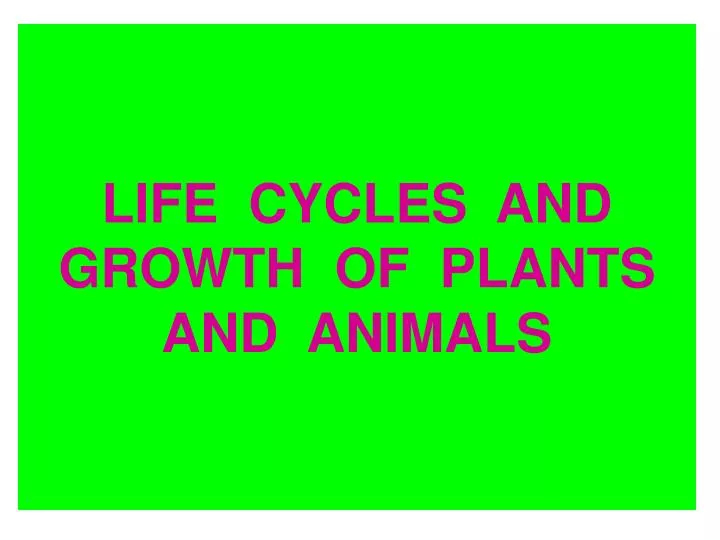 life cycles and growth of plants and animals