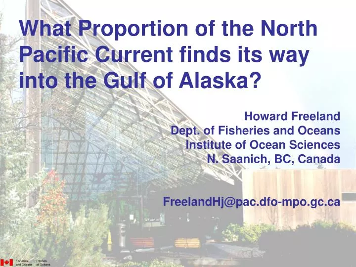 what proportion of the north pacific current finds its way into the gulf of alaska