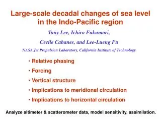 Large-scale decadal changes of sea level in the Indo-Pacific region