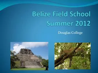 Belize Field School Summer 2012