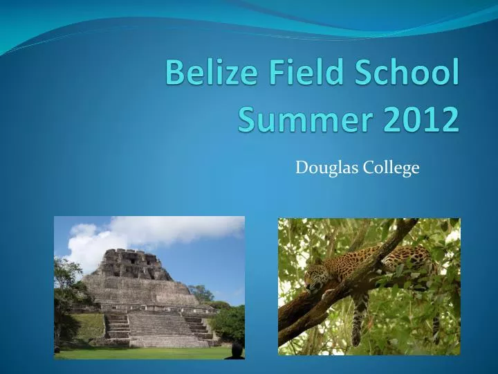 belize field school summer 2012