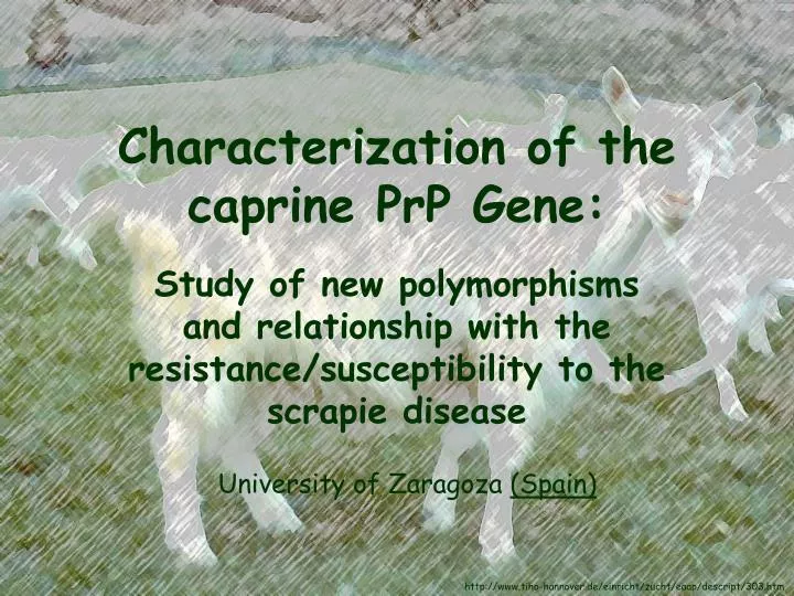 characterization of the caprine prp gene