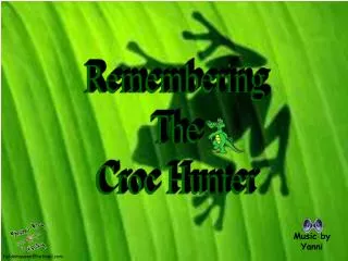 Remembering The Croc Hunter