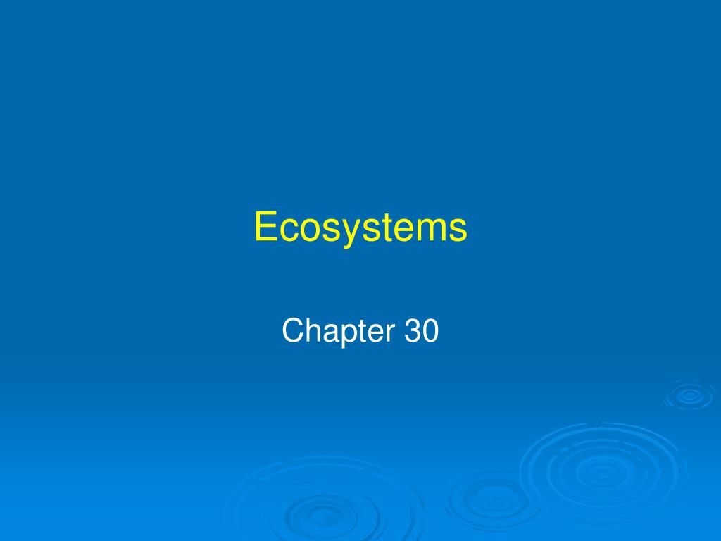 PPT - Ecosystems PowerPoint Presentation, free download - ID:5006037