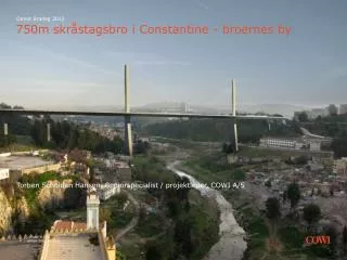 750m skr stagsbro i constantine broernes by