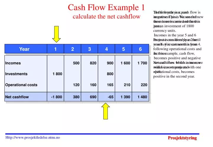 cash flow example 1 calculate the net cashflow