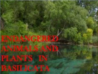 ENDANGERED ANIMALS AND PLANTS IN BASILICATA