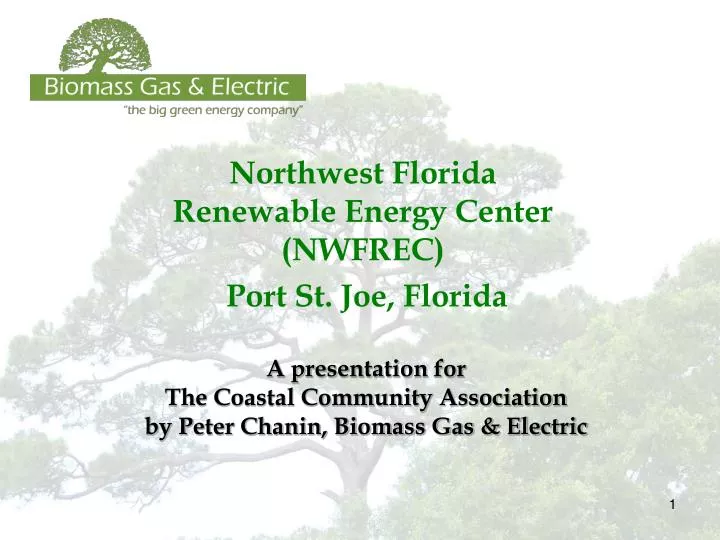 northwest florida renewable energy center nwfrec port st joe florida