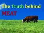 The Truth behind MEAT - slide 1